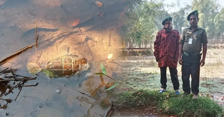 খাদে পড়ে থাকা পরিত্যক্ত গ্রেনেড